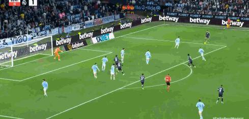 塞尔塔队员 塞尔塔队员